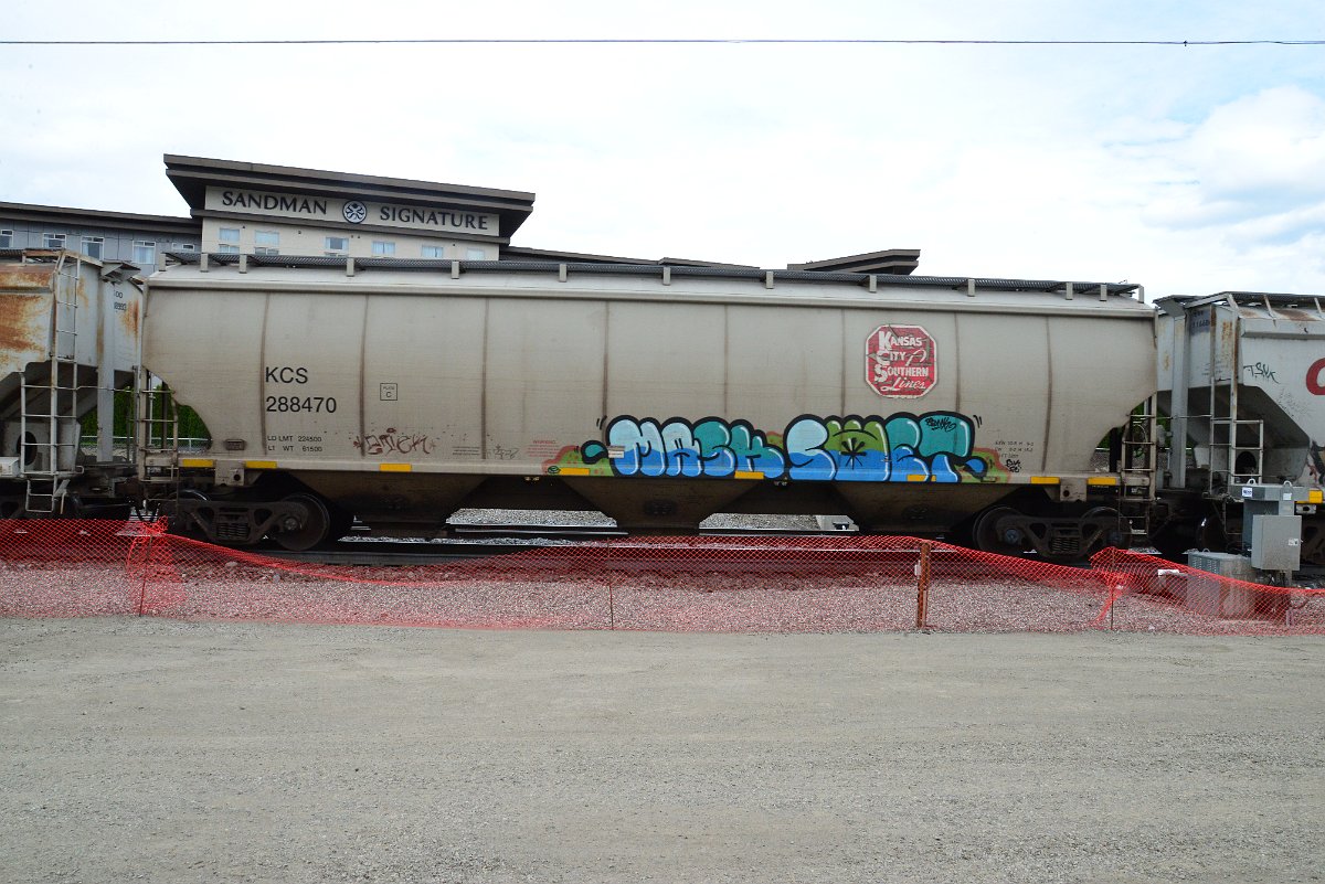 DSC_5009.JPG