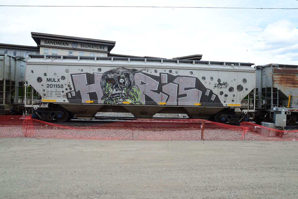 DSC_5024.JPG