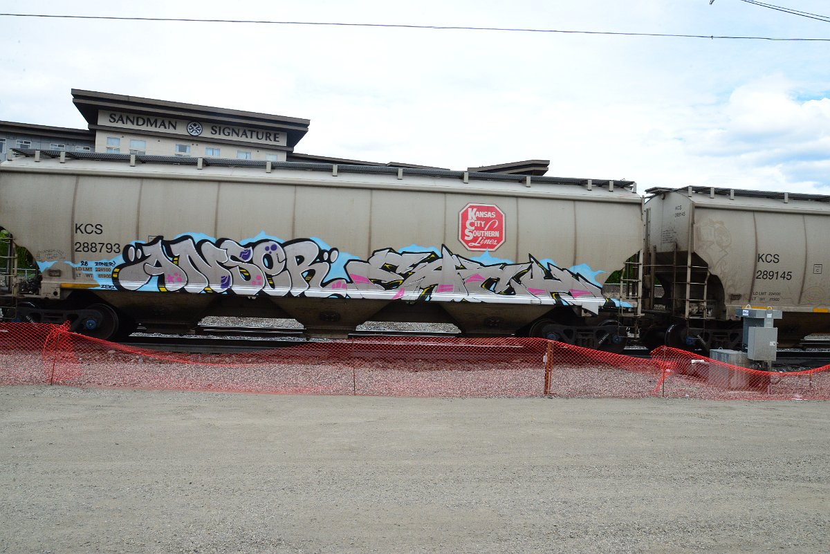 DSC_5062.JPG