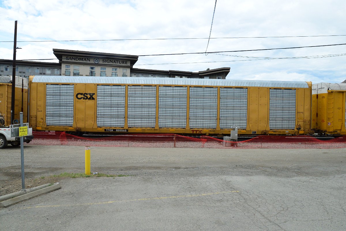 DSC_5786.JPG