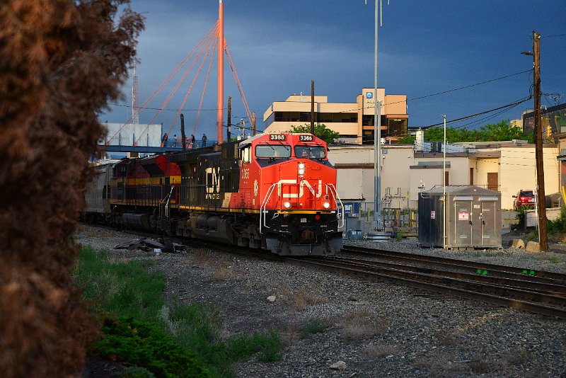 DSC_1001.JPG
