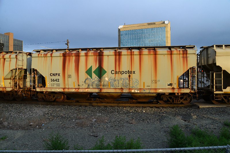 DSC_1018.JPG