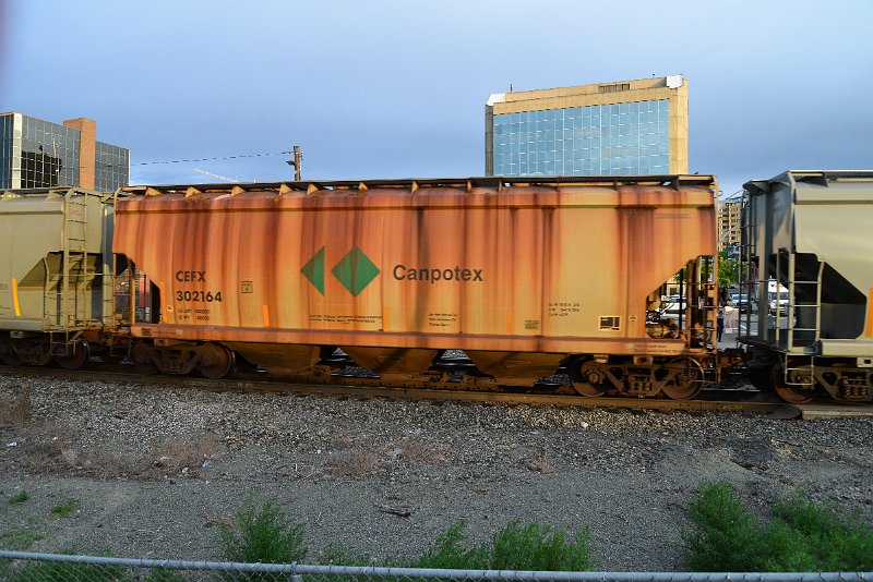 DSC_1075.JPG