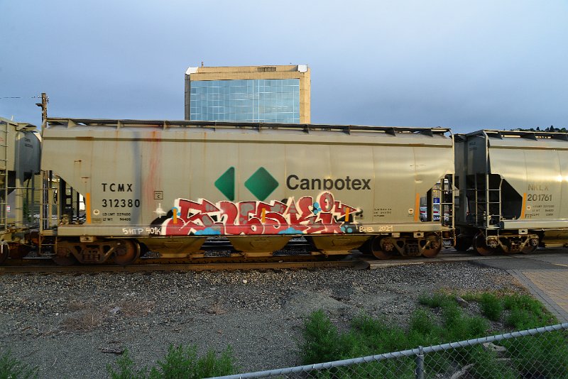 DSC_1109.JPG