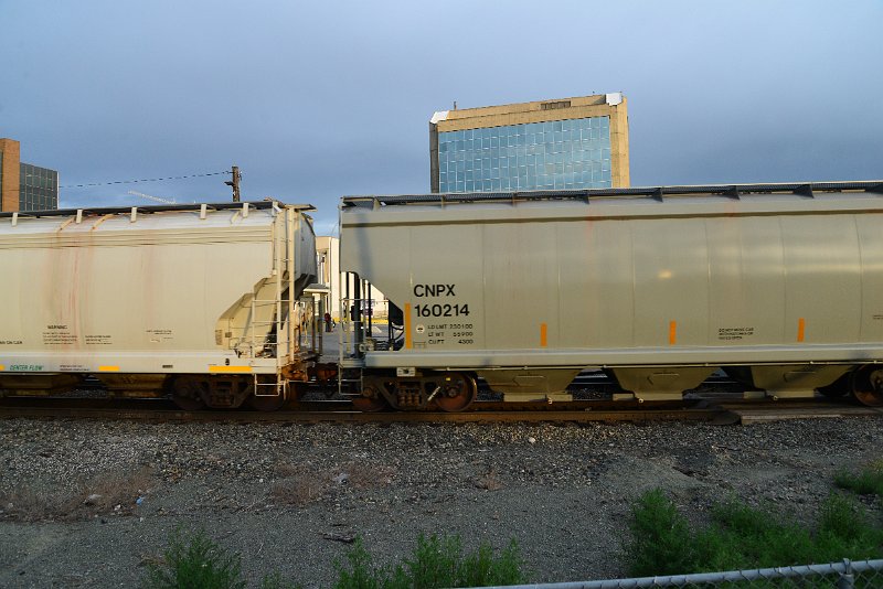 DSC_1111.JPG