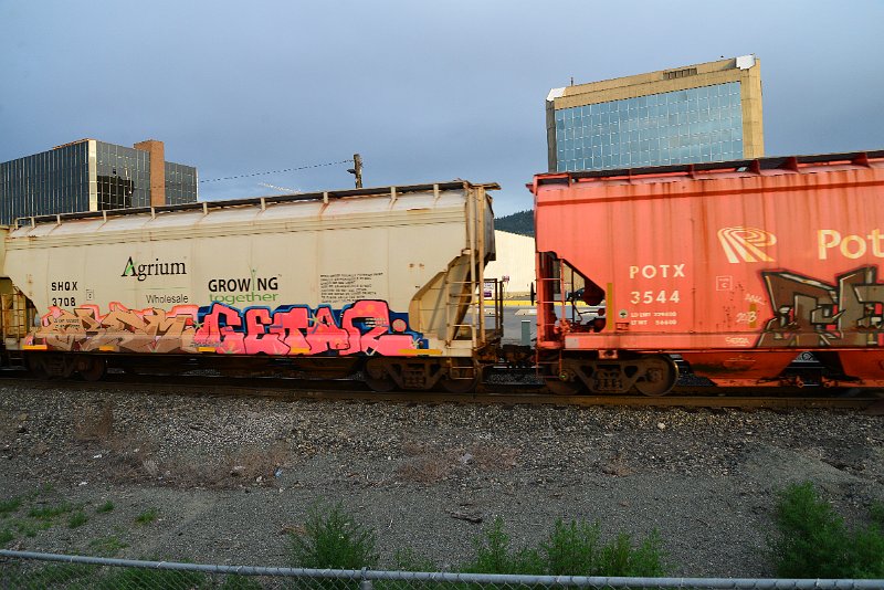 DSC_1139.JPG
