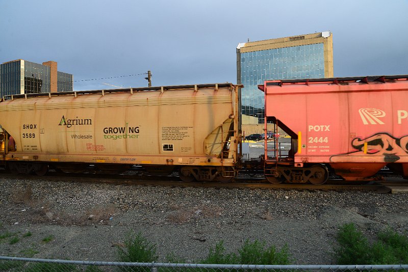 DSC_1142.JPG