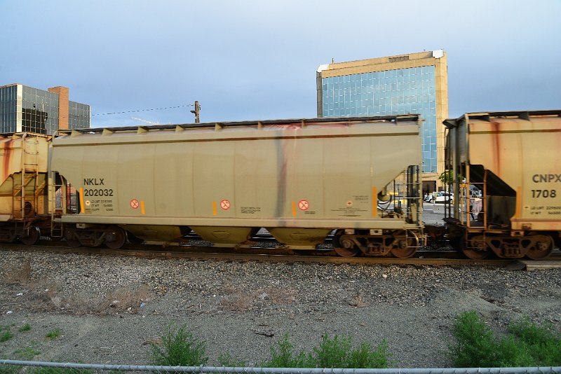 DSC_1146.JPG