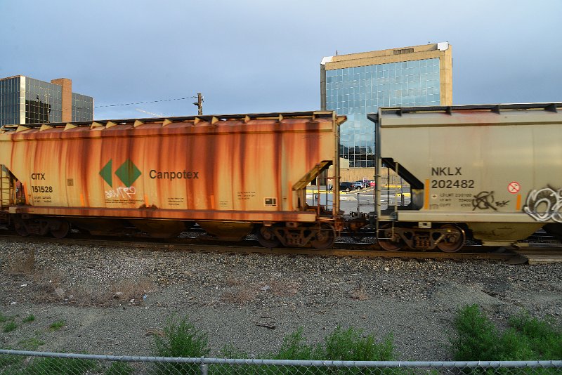 DSC_1159.JPG
