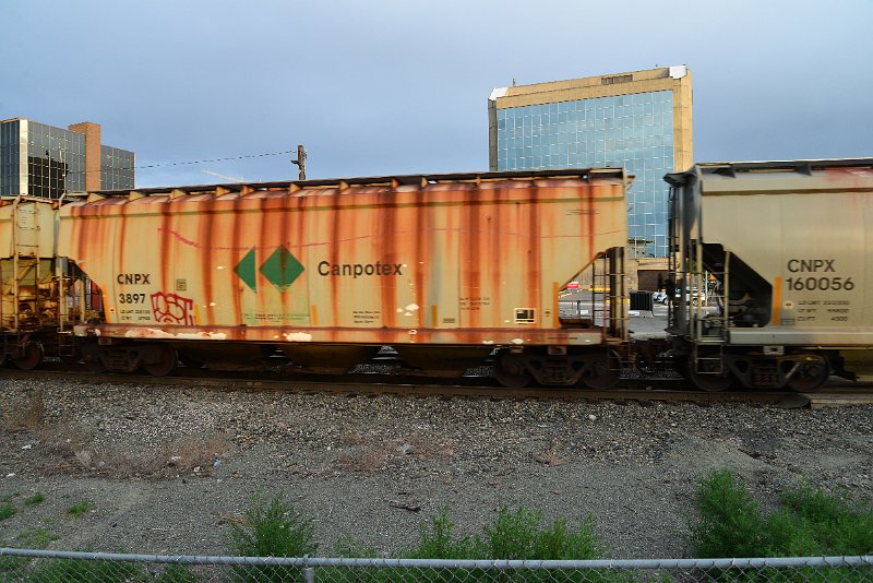 DSC_1162.JPG