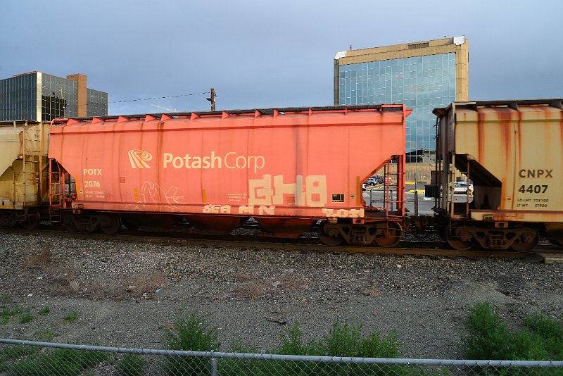 DSC_1184.JPG