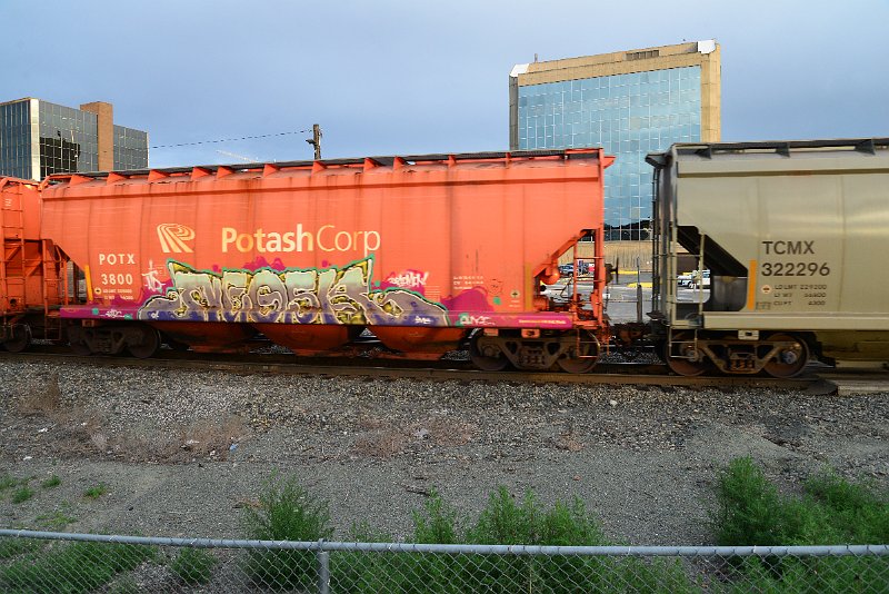 DSC_1193.JPG