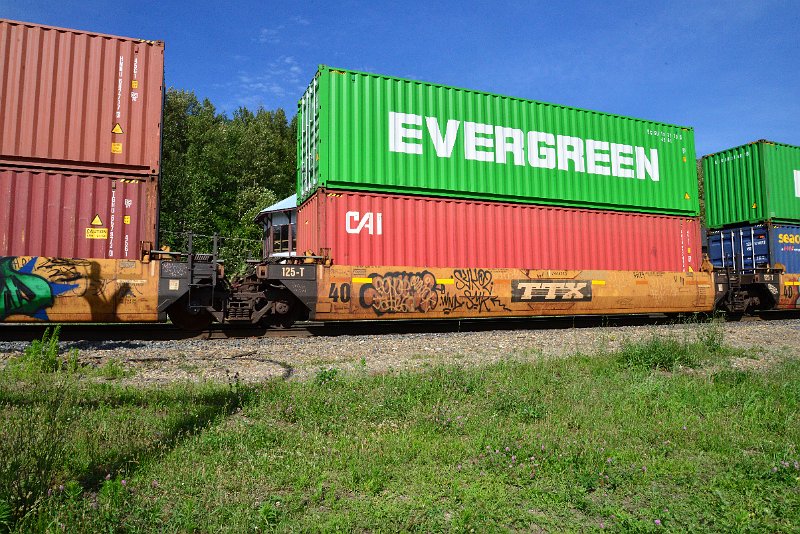 DSC_1575.JPG