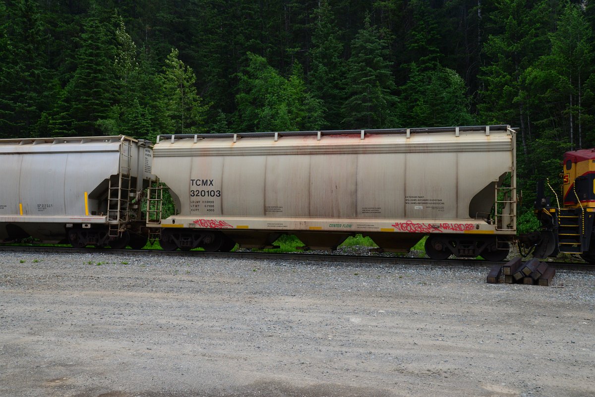 DSC_1893.JPG