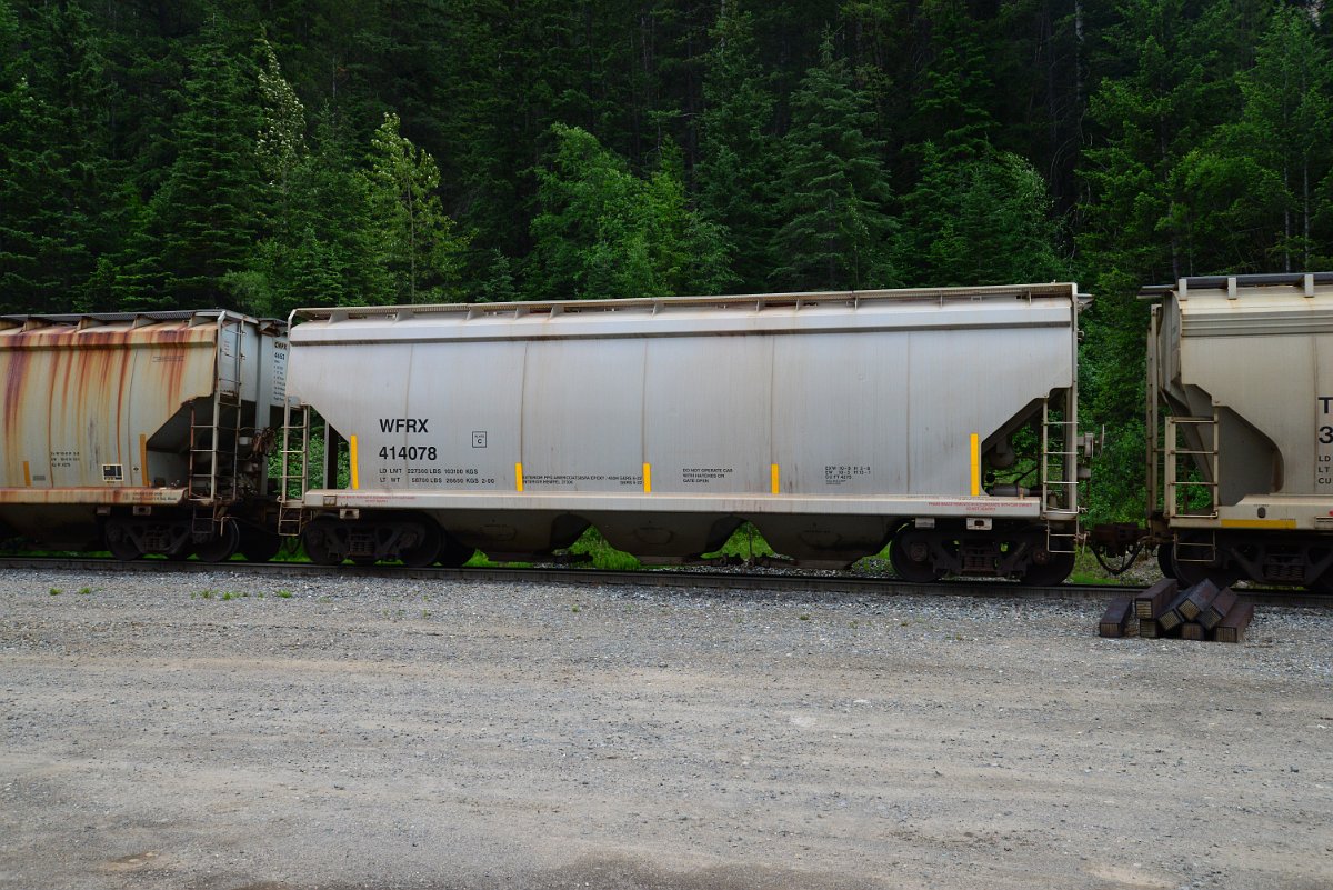 DSC_1894.JPG