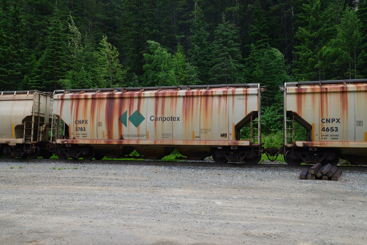 DSC_1896.JPG