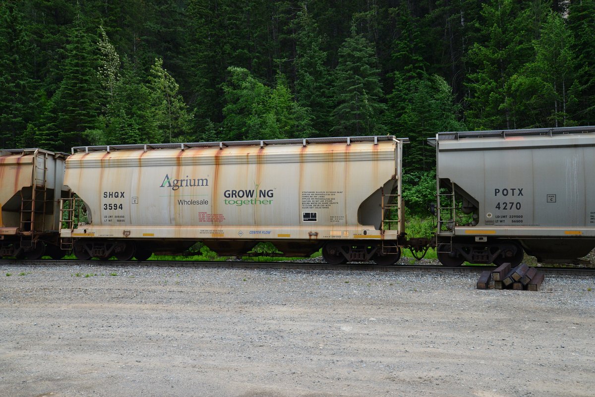 DSC_1899.JPG