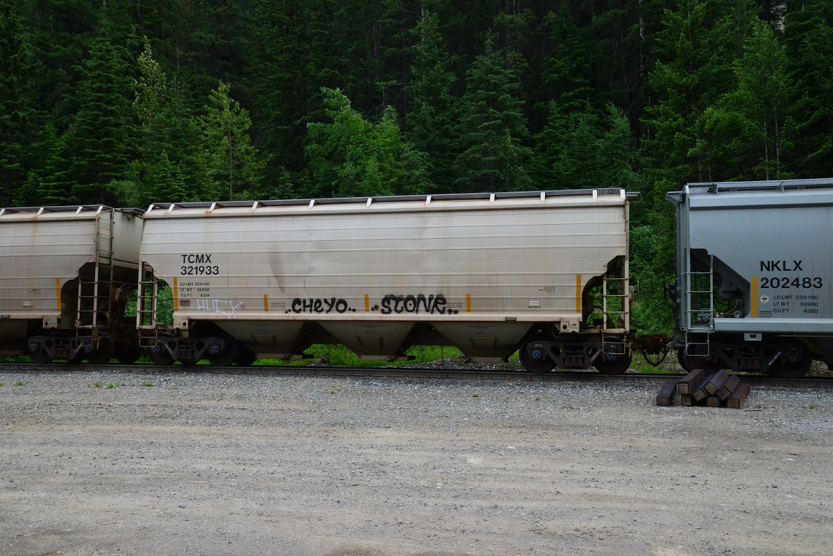 DSC_1903.JPG