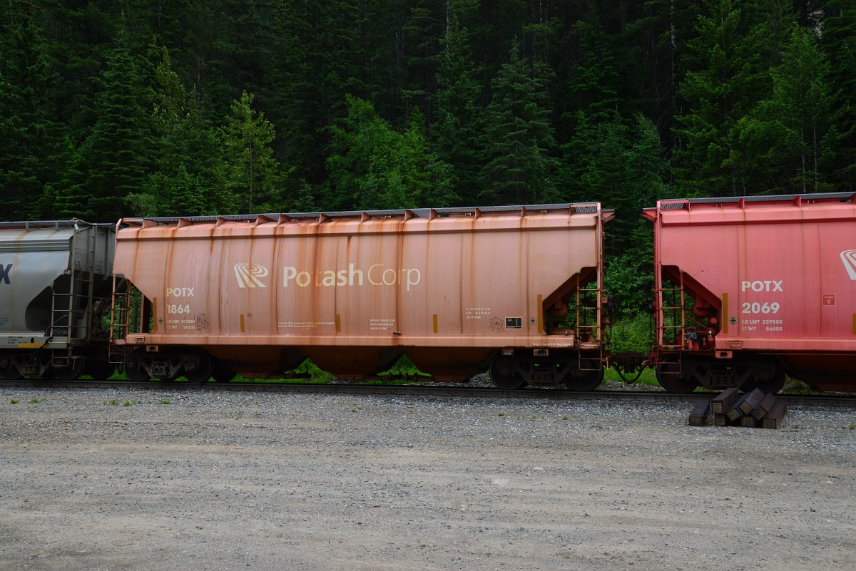 DSC_1913.JPG