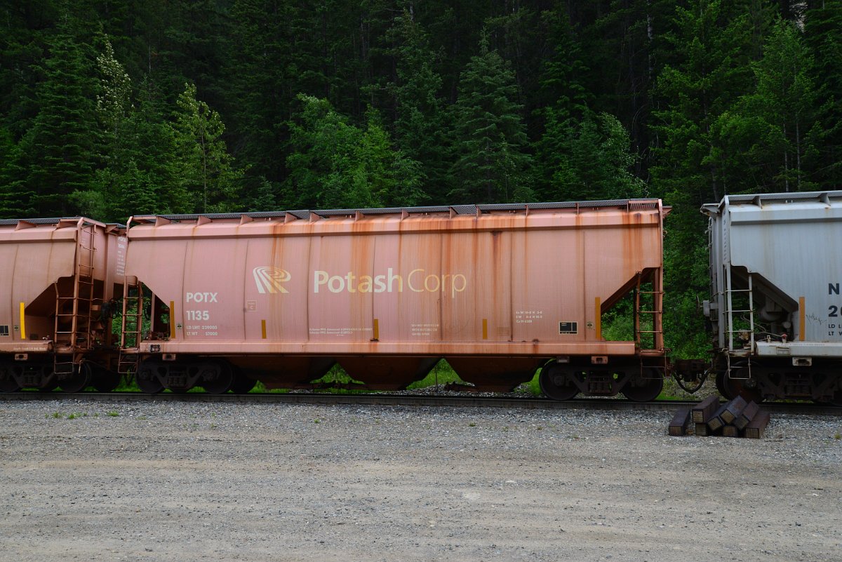 DSC_1920.JPG