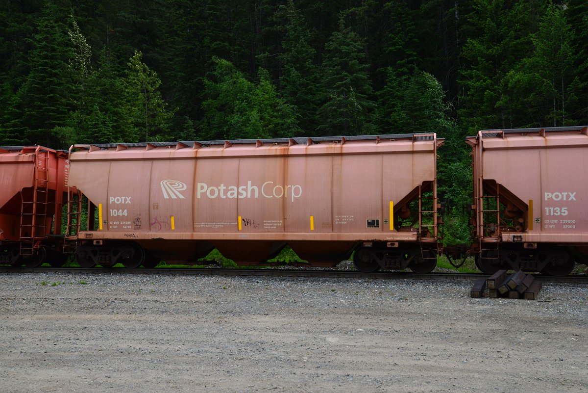 DSC_1921.JPG
