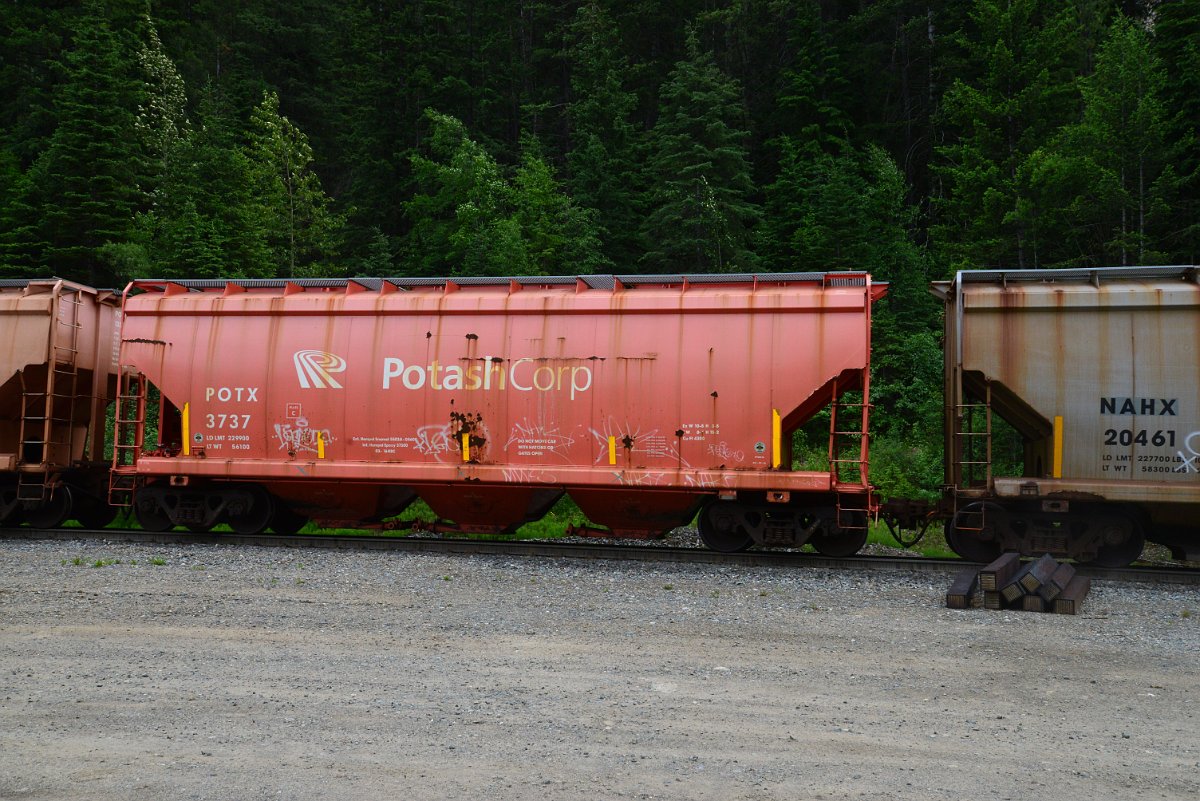 DSC_1932.JPG