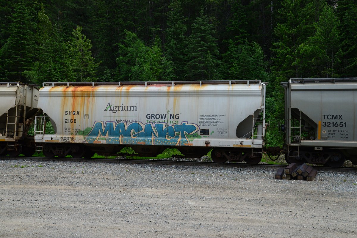 DSC_1945.JPG