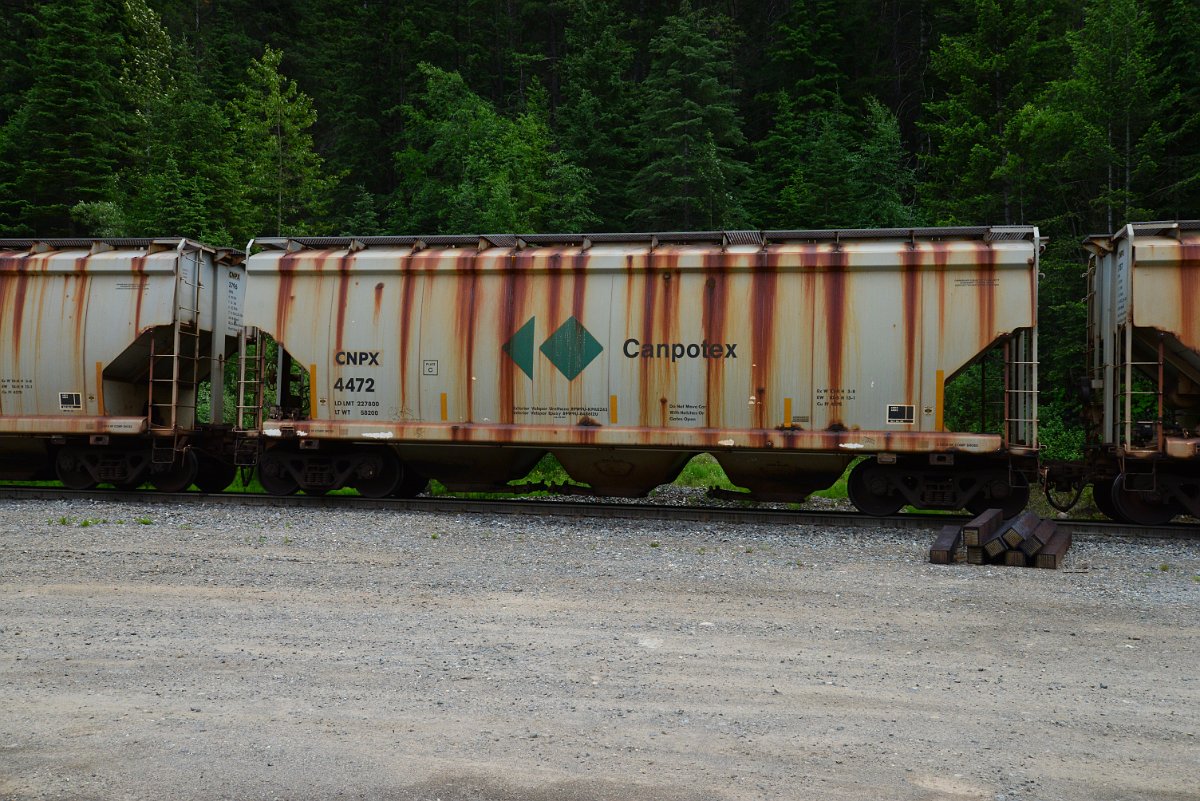 DSC_1959.JPG