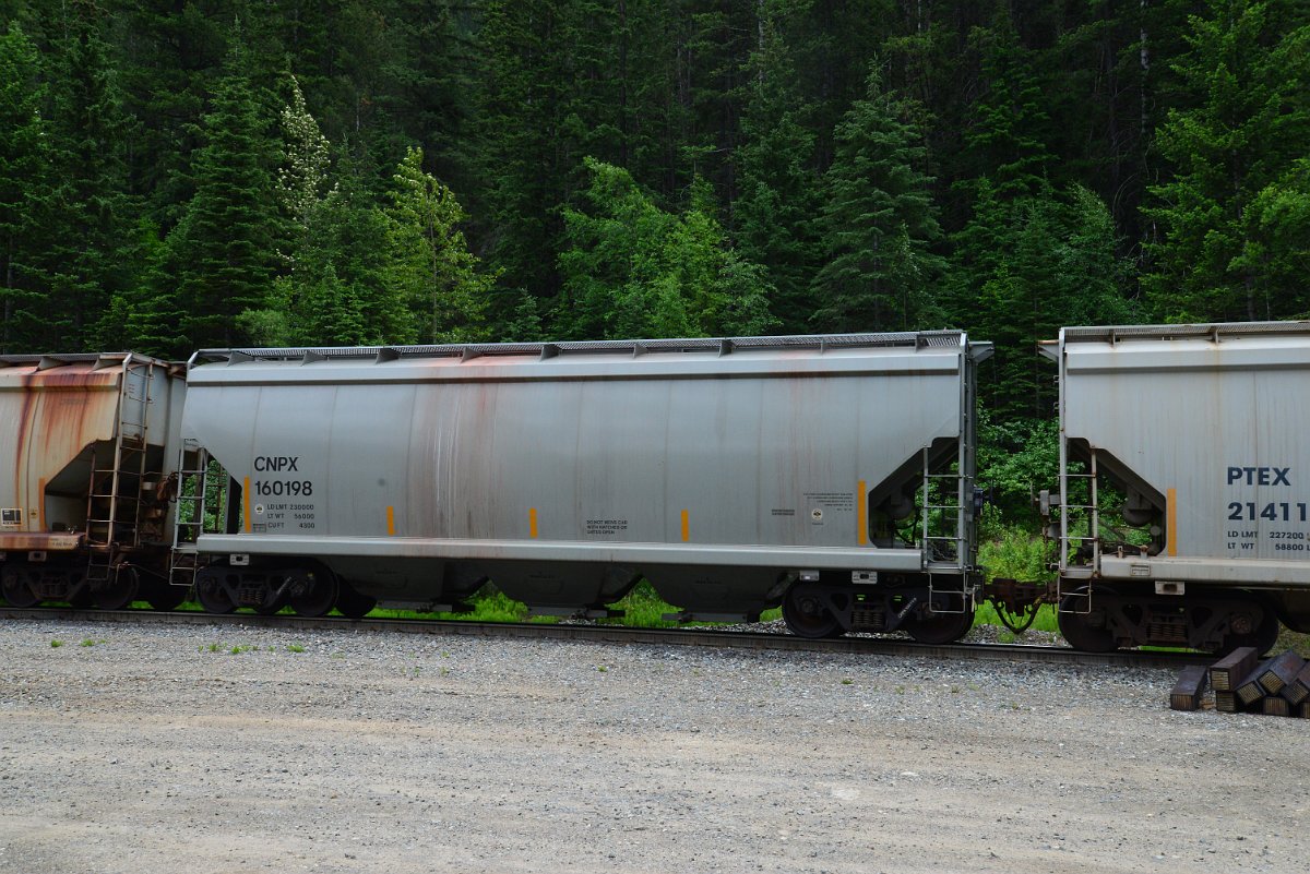 DSC_2010.JPG