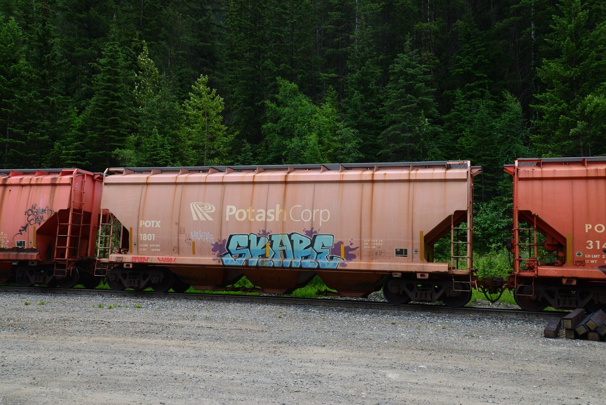 DSC_2021.JPG
