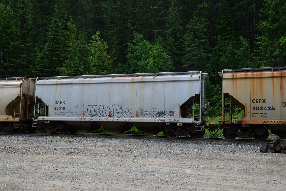 DSC_2084.JPG