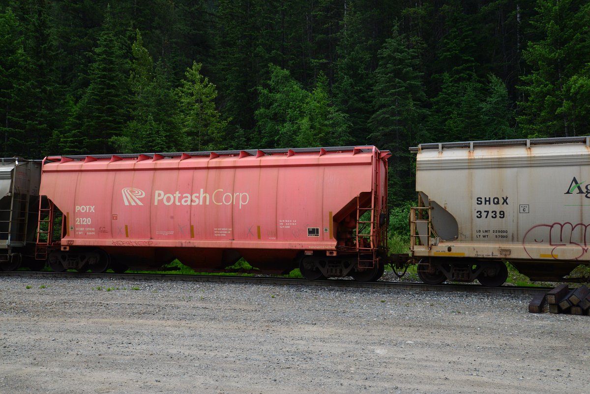 DSC_2086.JPG