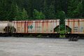 DSC_1896