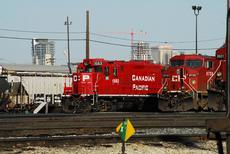 DSC_3874.jpg