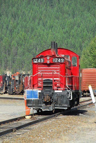DSC_4206.JPG