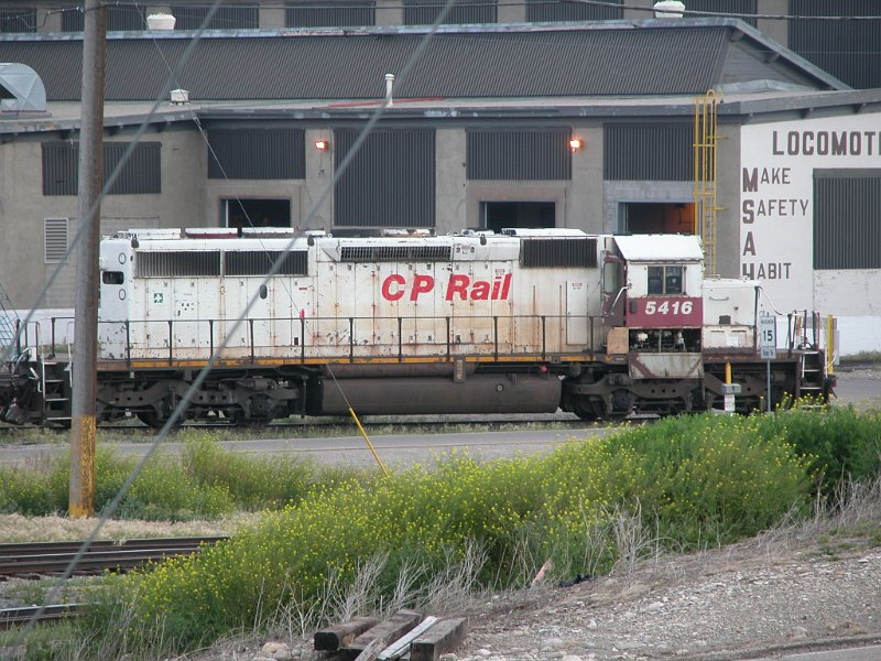 CP5416_1.jpg