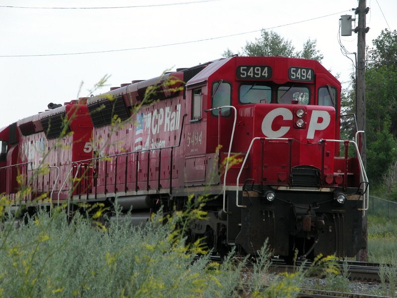 CP5494_2.jpg