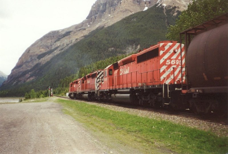 CP5695_1.jpg