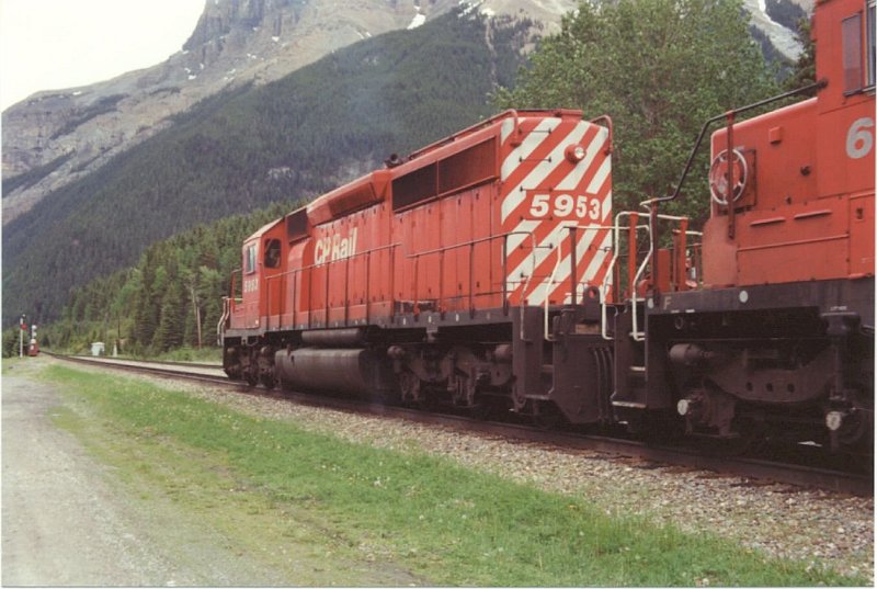 CP5953_3.jpg