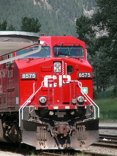 CP8575_1.jpg
