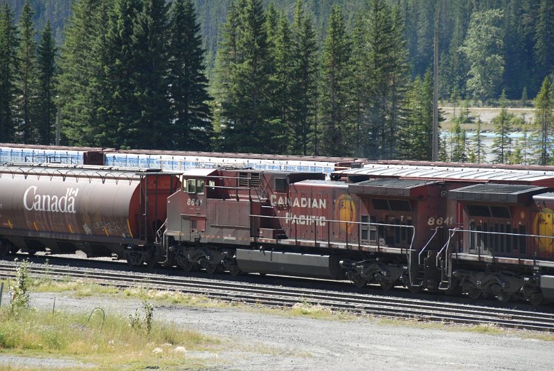 DSC_7245.JPG