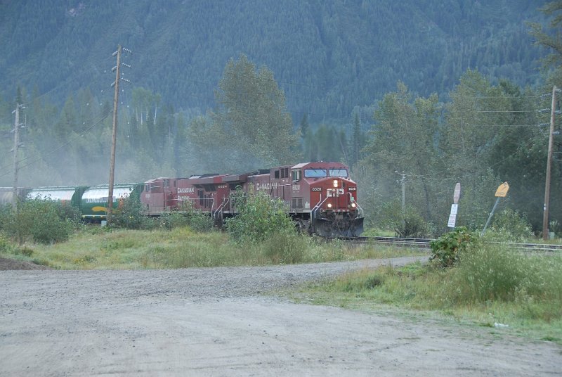 DSC_7278.JPG