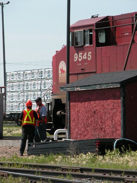 CP9545_2.jpg