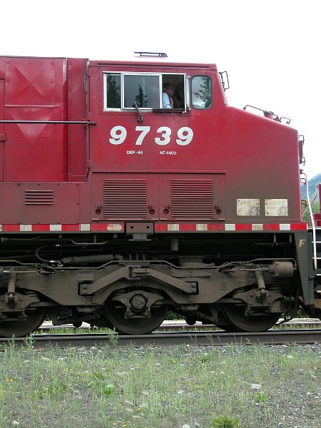 CP9739_1.jpg