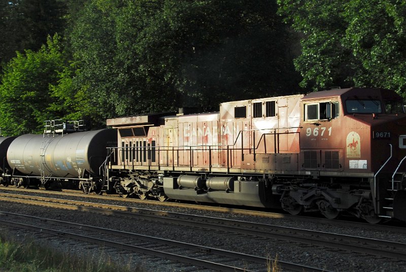 DSC_3550.JPG