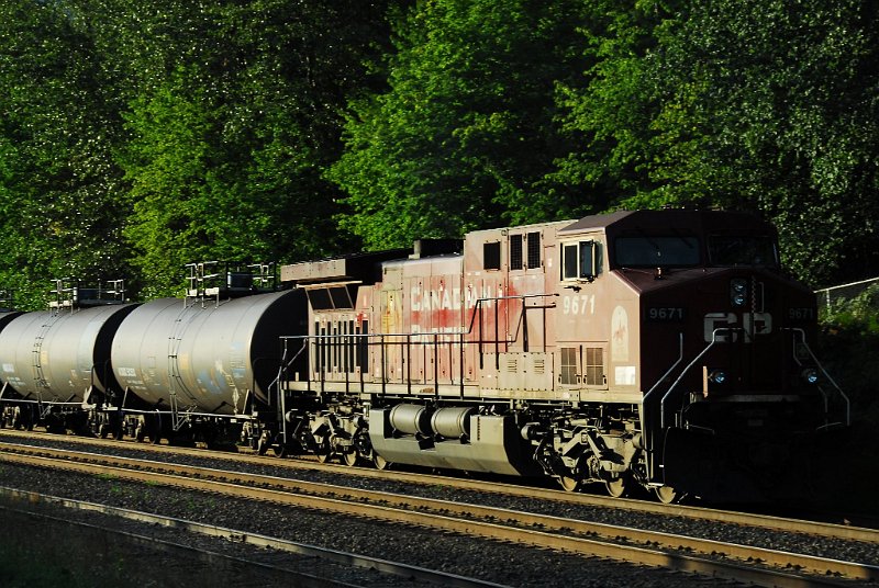 DSC_3551.JPG