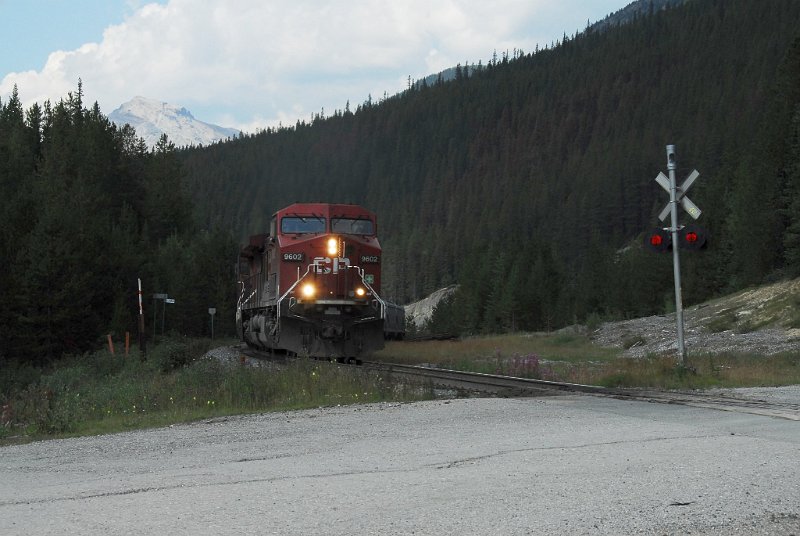 DSC_3658.JPG