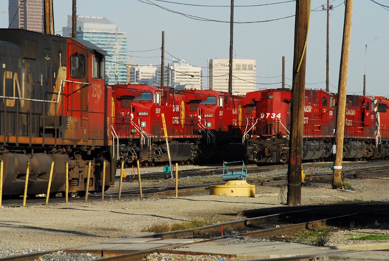 DSC_3848.JPG