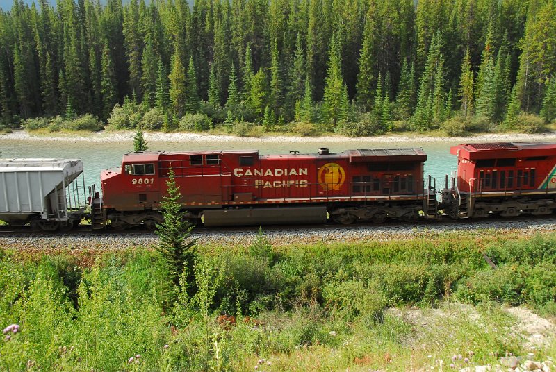 DSC_4096.JPG