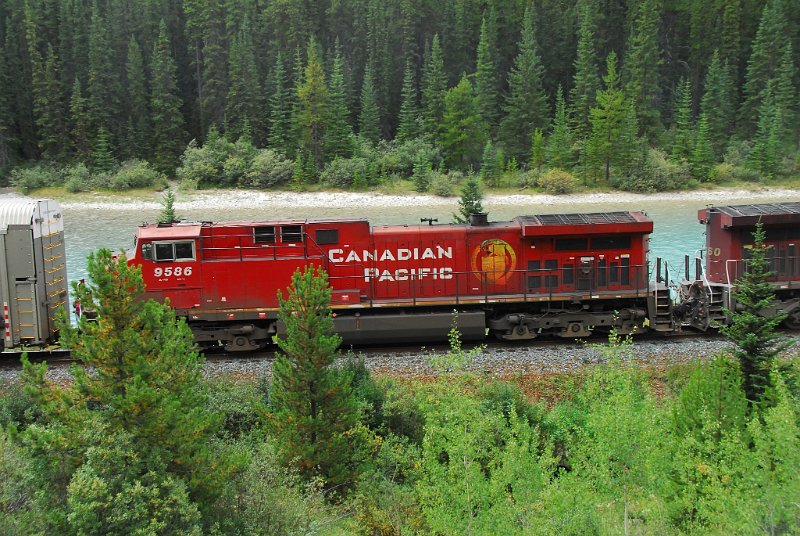 DSC_4102.JPG